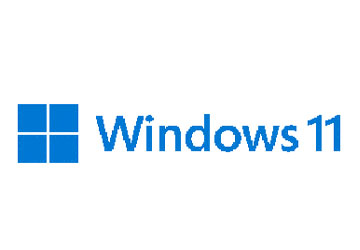 Windows 11